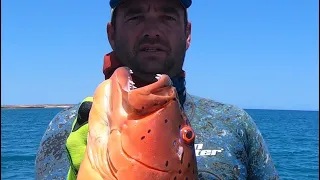 Spearfishing the north Western Australia 3