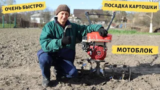 How to quickly plant potatoes with a motoblock?