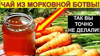 НЕ ВЫБРАСЫВАЙ МОРКОВНУЮ БОТВУ ОЧЕНЬ ПОЛЕЗНЫЙ ЧАЙ.  carrot leaf tea. Чай из морковной ботвы.