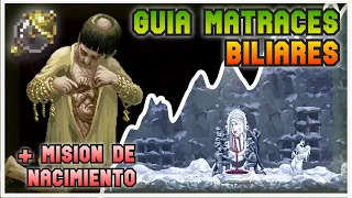 Matraces Biliares Unicación + Mision Nacimiento - Blasphemous