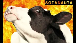 Sotanauta vs. Alan Walker - Faded (metal cover)