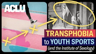 Transphobia and Youth Sports (+ the Institute of Sexology) | LET’S CONNECT