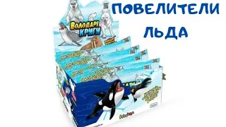 ПОВЕЛИТЕЛИ ЛЬДА🐳🐧/ИГРУШКИ АНТИСТРЕСС ОБЗОР.