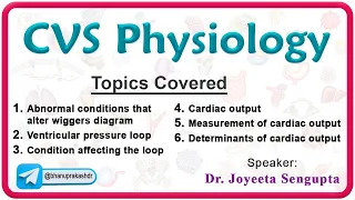 Ventricular Pressure-Volume Loop and Cardiac Output 💓📊 | Physiology Simplified