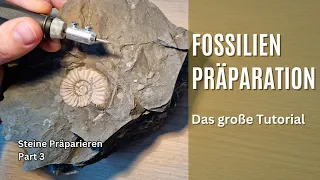 Das große Einsteigertutorial | Fossilien-Präparation