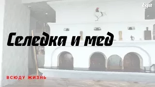 Селедка и мед — съедобно?