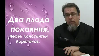 У кого это есть, тот принес плоды покаяния. Иерей Константин Корепанов.