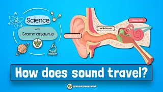 Science with Grammarsaurus - How does sound travel?