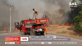 Курорти Туреччини охопили лісові пожежі – останні новини з епіцентру подій