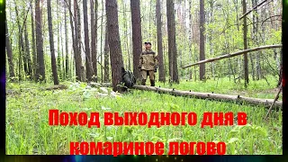 ПОХОД ВЫХОДНОГО ДНЯ В КОМАРИНОРЕ ЛОГОВО ┃ 🌲🏕 ┃ НОВАЯ ЛОКАЦИЯ┃