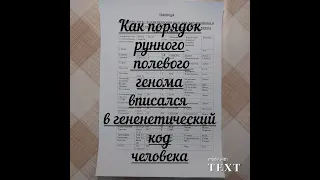 Как порядок рунного полевого генома вписывается в генетический код человека#4