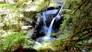 Explore Oregon Recreation: Wolf Creek Falls Trail