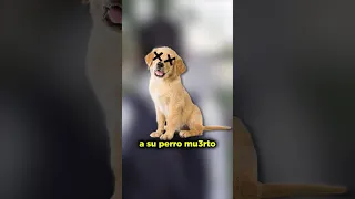 Se VENGÓ del ASESINO de su PERRO #sabiasque #shorts