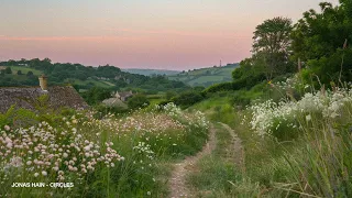 a calm playlist for walking through the english countryside (classical playlist)