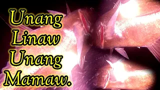 Unang linaw Unang mamaw night sPearfishing|| Gabby Ramal