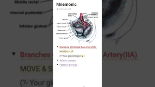 Mnemonic: Branches Of Internal Iliac Artery #mnemonics