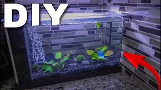 The NEW BETTA FISH AQUARIUM...