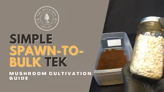 Quick & Easy Spawn-to-Bulk Method | Mushroom Cultivation Guide