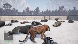 Far cry 4 Bears and Tigers Free 4 all