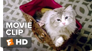 Nine Lives Movie CLIP - Who Needs a Litter Box? (2016) - Kevin Spacey Movie