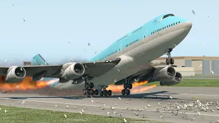 B747 Crashed Into Massive Bird Strike Right Before Taking Off | XP11