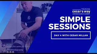 Secrets To Leash Work With Your Dog & More With Cesar