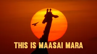 Maasai Mara: A Sony Wildlife Cinematic Experience