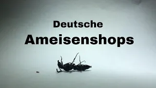 Probleme mit deutschen Ameisenshops. | Meine Meinung!