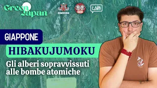 HIBAKUJUMOKU | Gli alberi sopravvissuti alle bombe atomiche