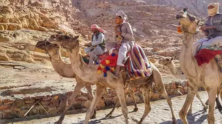 Egypt.Descent from the mountain of Moses(Sinay).Спуск с горы Моисея(Синай).