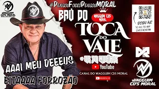 BAÚ TOCA DO VALE O REI DO FORRÓ (+ DE 70 MÚSICAS) AS MELHORES #CANALDOWAGGUIMCDSMORAL #ALVEJANTE #FÉ