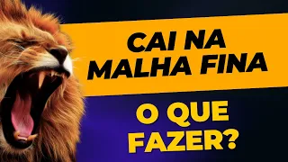 Cai na malha fina e agora , o que fazer ? Saiba o que fazer se você cair na malha fina