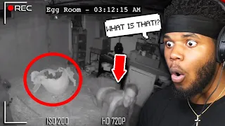 We bought an egg off the dark web… *SCARY*