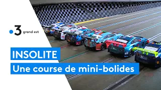 Des courses de mini-voitures radiocommandées sur un circuit de 43 mètres de long