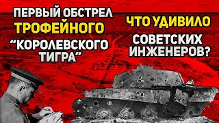 Что удивило советских инженеров при обстреле Королевского тигра в 1944 году?