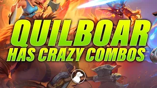 New Tribe Quilboar has Crazy Combos | Dogdog Hearthstone Battlegrounds