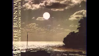 Echo & the Bunnymen - The Killing Moon (1984) HD