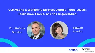 Cultivating a Wellbeing Strategy Across Three Levels: Individual, Teams, and the Organization