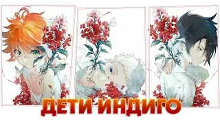 06 - AMV - Дети Индиго - Танибата-2019