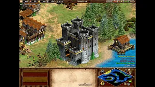 Age of Empires II custom campaign: The lion of Sweden-Chapter V-Lebensraum (part 1)