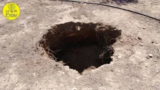 Farmer Uncovers Treasure Beneath His Land That The Government Says Belongs To Them