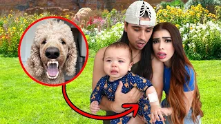 OUR DOG BIT OUR BABY!