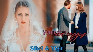 Удержи моё сердце 💔 [Yiğit & Sibel]