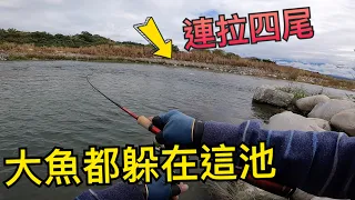 半年沒來大甲溪釣魚了，枯水期原來魚都躲在這穴！致命軟蟲丟下去就咬，連中四隻拉到手酸！