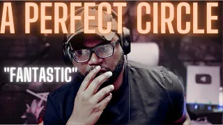 I was asked to listen to A Perfect Circle - By and Down the River (First Reaction!!)