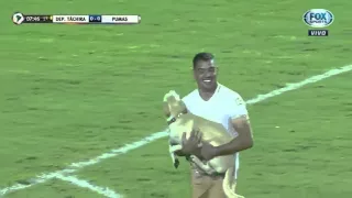 Cachorro invade campo no jogo de Deportivo Táchira vs Pumas Copa Libertadores 2016