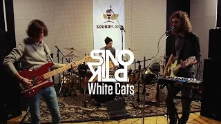 SINOPTIK - White Cats [Live @ Лампова Muzmapa]