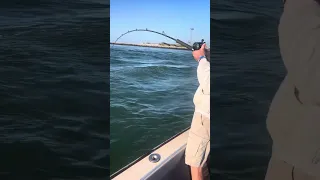 Fall Fishing for Striped Bass, Shinnecock Inlet 10/09/23 …aboard Someday Came Fishing Charters…