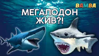 ✅️КАК СЛЕПИТЬ ГИГАНТСКУЮ АКУЛУ из пластилина.🦈ЛЕПИМ САМУЮ СТРАШНУЮ  АКУЛУ МОНСТРА МЕГАЛОДОН.🦈 #bamba