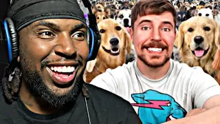 Mr beast Rescued 100 Abandoned Dogs!